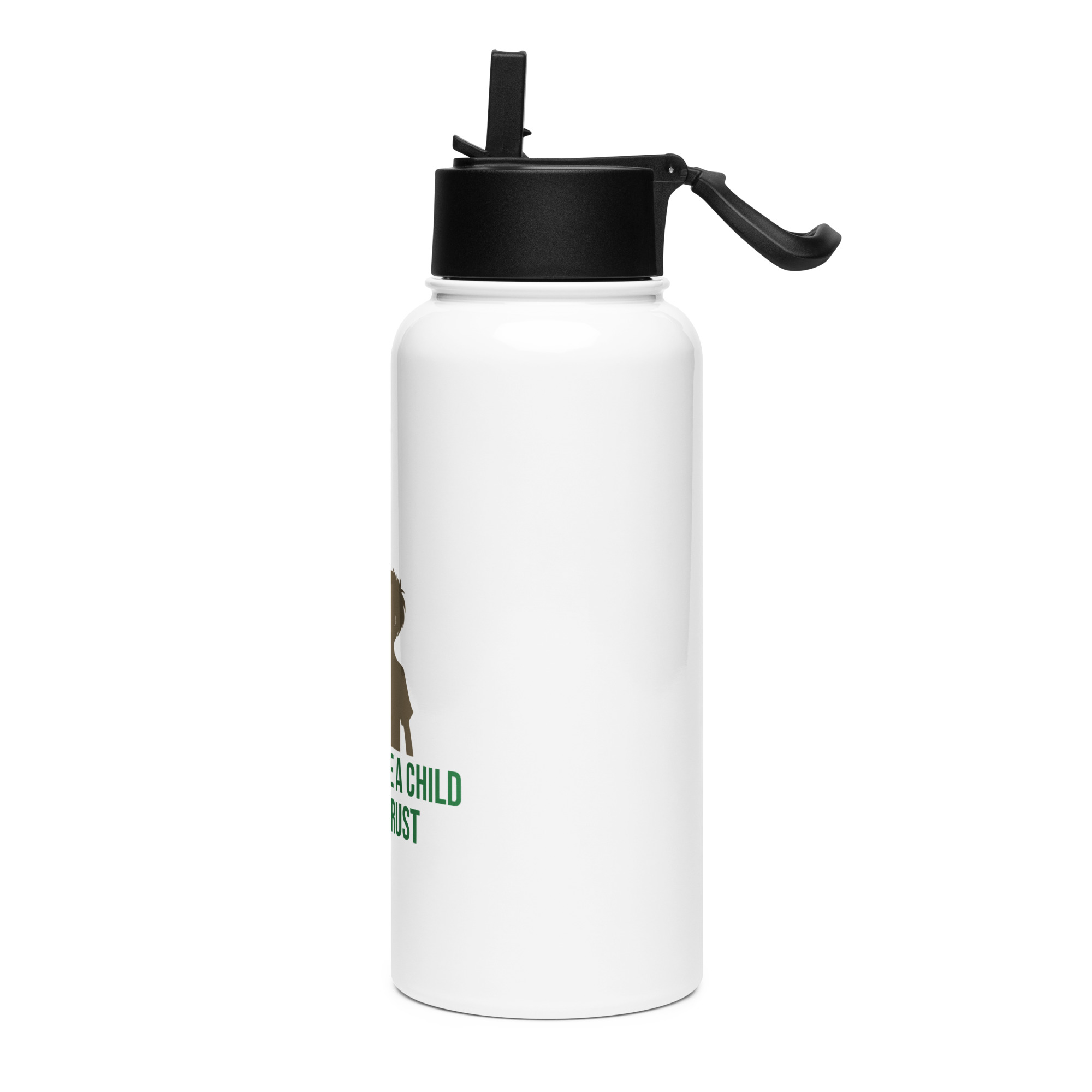 Stainless steel water bottle with a straw lid – Be a voice a child can trust - Image 3